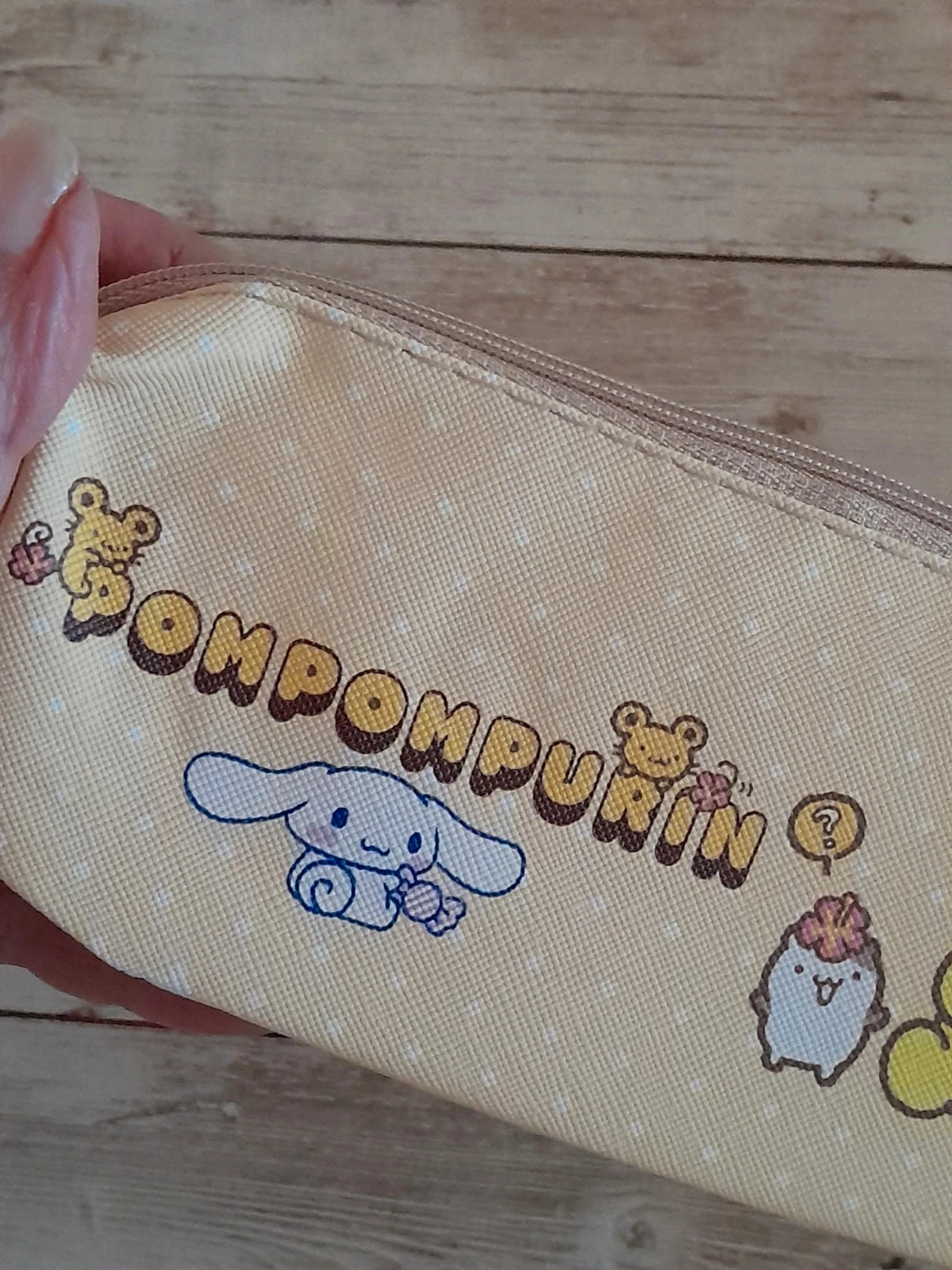 School- of make-uptas, Sanrio, Pompompurin – photo 4